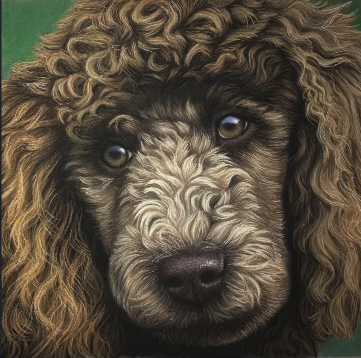 Pet portrait 1