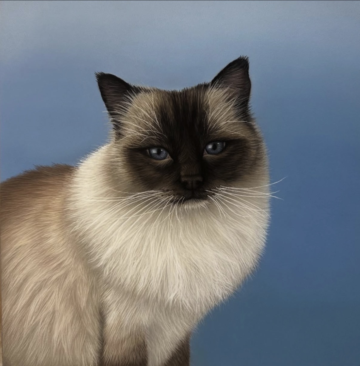 Pet portrait 3